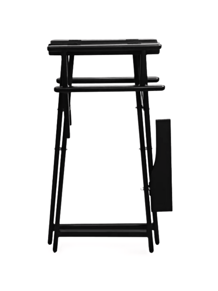 , image_restrict_option="Director Chair Black"