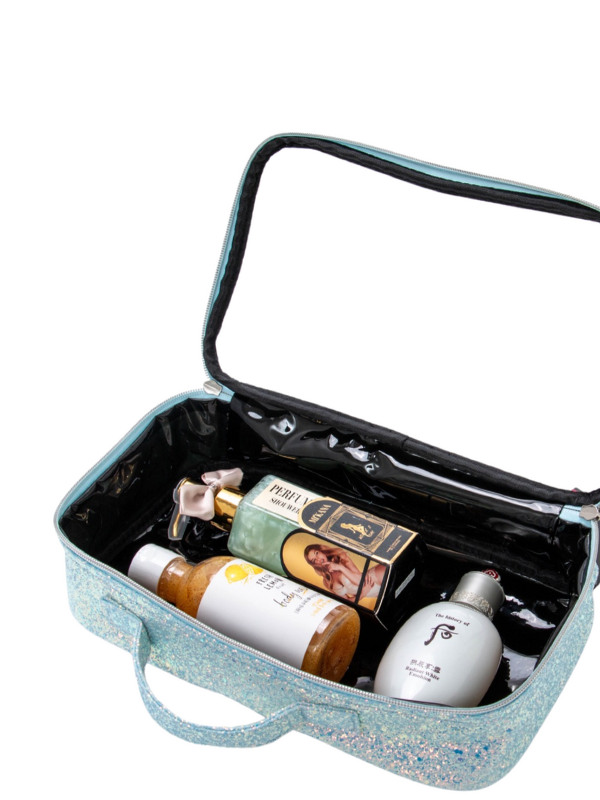 , image_restrict_option="Glass Slipper Accessory Case"
