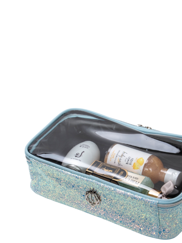 , image_restrict_option="Glass Slipper Accessory Case"